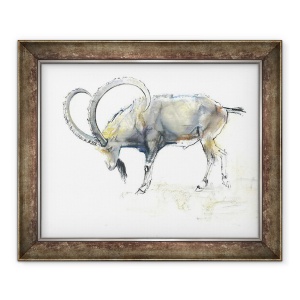 Tablou inramat - Mark Adlington - Nubian Ibex, 70 x 85 cm