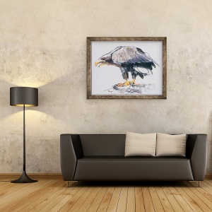 Tablou inramat - Mark Adlington - Vulturul de mare cu coada alba, 60 x 80 cm - Img 2