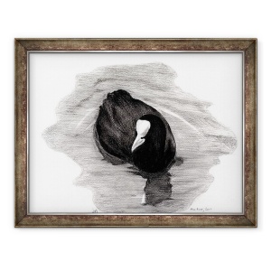 Tablou inramat - Nancy Moniz Charalambous - Coot din Londra, 70 x 90 cm