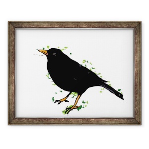 Tablou inramat - Sarah Thompson-Engels - BlackBird,2018, 60 x 80 cm
