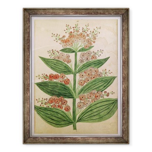 Tablou inramat - Scoala franceza - Gentiana cu flori imaginare, 60 x 80 cm