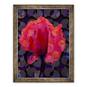Tablou inramat - Scott J. Davis - Ceai Rose 3b, 70 x 90 cm