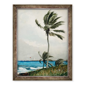 Tablou inramat - Winslow Homer - Palmier, Nassau, 70 x 90 cm
