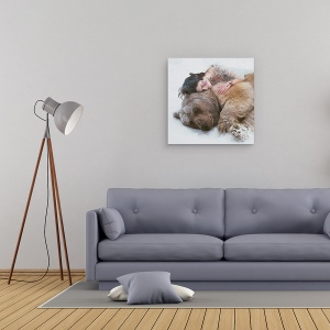 Tablou canvas - 0, Portret, Animale, Urs, Femeie, 60 x 60 cm - Img 2