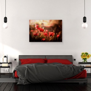 Tablou canvas - Aerul Diminetii, Maci, Vara, Floare, 60 x 90 cm - Img 3
