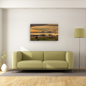 Tablou canvas - Africa, Tanzania, Elefant, Peisaj, Salbatic, 50 x 80 cm - Img 2