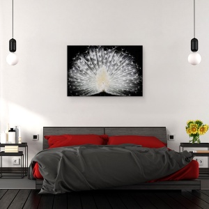 Tablou canvas - Alb-Negru, Italia, Paun, Pasare, Animale, Pana, 80 x 120 cm - Img 3