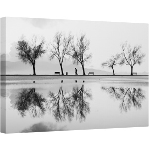 Tablou canvas - Alb-Negru, Parc, Banca, Pomi, Grafic, Silueta, 40 x 60 cm