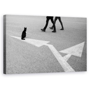 Tablou canvas - Alegeri, Alegeri, Cuplu, Pisica, Privind, Sageti, 50 x 80 cm