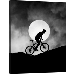 Tablou canvas - Allegro, Luna, Motocicleta, Bicicleta, Calatorie, Calaret, 60 x 75 cm