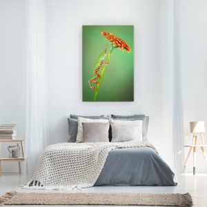 Tablou Canvas - Alpinist, Broasca, Urca, Floare, Gerbera, Animale, 80 x 120 cm - Img 3