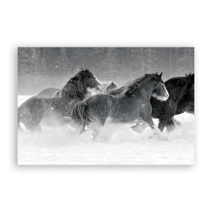 Tablou Canvas - Animal, Cai, Rau, 60 x 90 cm