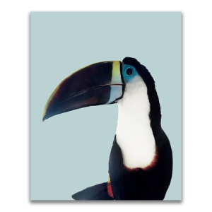 Tablou Canvas - Animal, Pasare, Tucan, 60 x 75 cm