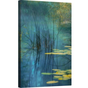 Tablou canvas - Apa, Crin, Lac, Planta, Stuf, Nufar, 80 x 120 cm