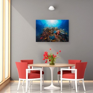 Tablou canvas - Apnee, Sub Apa, Laguna, Recif, Ocean, Mare, 60 x 90 cm - Img 4