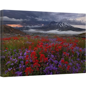 Tablou canvas - Apocalipsa Acum, Peisaj, Fulger, Floare, Furtuna, 80 x 120 cm