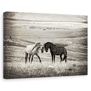 Tablou canvas - Apropiere, Contrast, Cai, Peisaj, Tonifiat, Desaturat, 40 x 60 cm