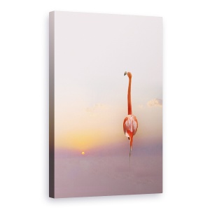 Tablou canvas - Apus De Soare, Flamingo, Soare, Roz, Rosu, Pastel, 40 x 60 cm