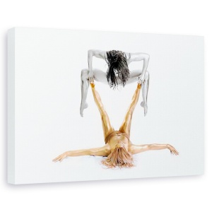Tablou canvas - Argint pe aur - Seria Gymnast, Oameni, Gimnasta, Echilibru, Putere, 60 x 90 cm