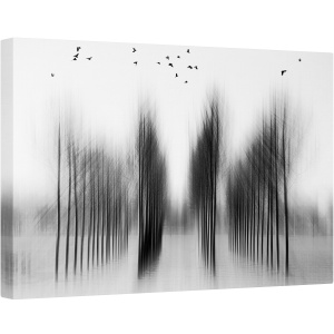 Tablou canvas - Arhitectura Arborelui, Munchen, Messestadt, Est, Olanda, 80 x 120 cm