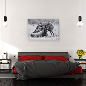 Tablou canvas - Arici, Animal, Cizma, Pantof, Distractie, Amuzant, 60 x 90 cm - Img 3