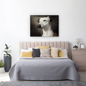 Tablou canvas - Asteptand, Ogar, Canin, La Vedere, Caine, 60 x 80 cm - Img 3