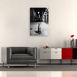Tablou canvas - Asteptarea, Strada, Caine, Pet, Alb-Negru, Oameni, 40 x 60 cm - Img 2
