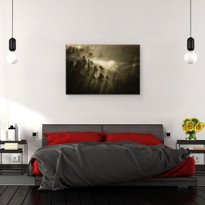 Tablou canvas - Atmosfera, Tonifiat, Monocolor, Padure, Raze De Lumina, 40 x 60 cm - Img 3