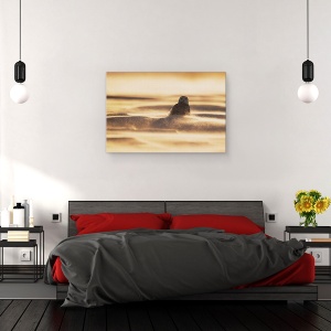 Tablou canvas - Aur, Zapada, Bufnita, Gheata, Furtuna, 40 x 60 cm - Img 3