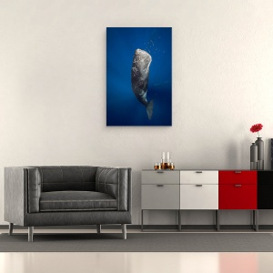 Tablou canvas - Balena In Lumina, Sub Apa, Cetacee, 40 x 60 cm - Img 2