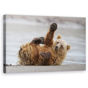 Tablou canvas - Bate Palma, Urs, Lac, Clark, Alaska, 50 x 80 cm