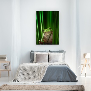 Tablou Canvas - Broasca Verde, Macro, Natura, Animale, Broasca, Iarba, 80 x 120 cm - Img 3