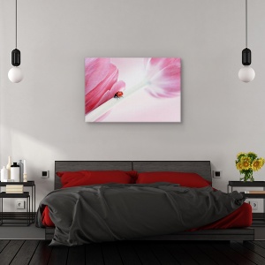 Tablou canvas - Buburuza, Flori, Roz, Lalea, 60 x 90 cm - Img 3