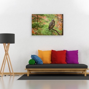Tablou canvas - Bufnita Euroasiatica, Padure, Salbatic, Natura, 40 x 60 cm - Img 2
