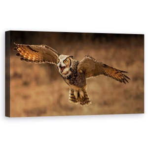 Tablou canvas - Bufnita Mare Cu Coarne, Panorama, 50 x 100 cm