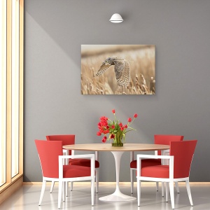 Tablou canvas - Bufnita Mare Cu Coarne, Parauri, Alberta, Canada, 60 x 90 cm - Img 4