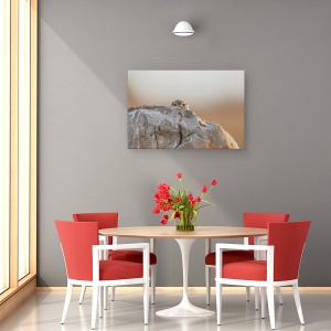 Tablou canvas - Bufnita Mica, Ochi, Privind, 40 x 60 cm - Img 4