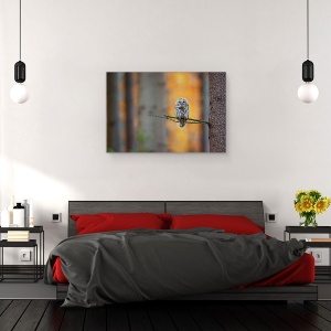 Tablou canvas - Bufnita Tawny, Copac, Ramura, Padure, Padure, 40 x 60 cm - Img 3