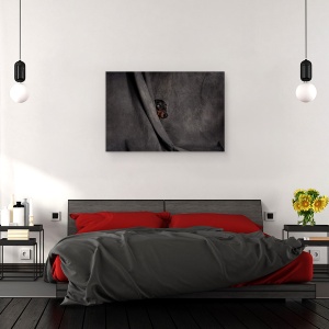 Tablou canvas - Ca Un Hot In Noapte, Studio, Teatru, Caine, Portret, Caini, 40 x 60 cm - Img 3