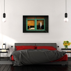 Tablou canvas - Cai Diferite, Distractie, Amuzant, Umor, Evadare, 60 x 90 cm - Img 3