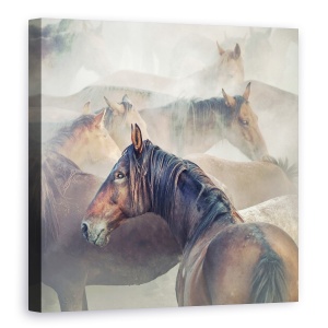Tablou Canvas - Cai Obositi, Animale, Moale, Praf, 90 x 90 cm