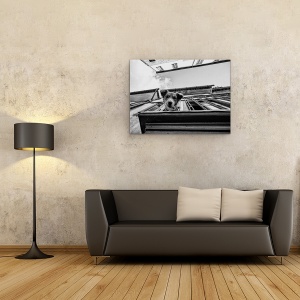 Tablou canvas - Caine, Strada, Caine, Fata, Perspectiva, Caini, 50 x 70 cm - Img 2
