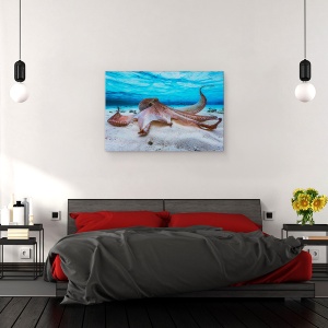 Tablou canvas - Caracatita, Caracatita, Sub Apa, Pieuvre, Ocean, Mare, 80 x 120 cm - Img 3