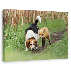 Tablou canvas - Cel Mai Rau Caine De Vanatoare Din Lume, Umor, Animal, Beagle, Vanatoare, Salbatic, 60 x 90 cm
