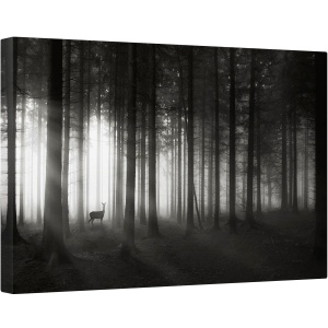 Tablou canvas - Cerb, Cerb, Soare, Dimineata, Padure, Pomi, Ceata, 80 x 120 cm