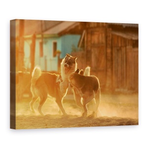 Tablou canvas - Chemarea Salbaticiei, Caini, Lupta, Animal, Pet, Curte, 75 x 100 cm