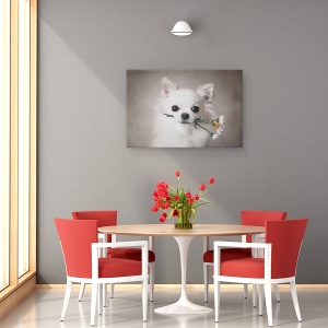 Tablou canvas - Chihuahua Cu Flori, Caine, Cadou, Adorabil, 60 x 90 cm - Img 4