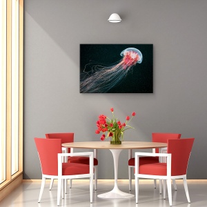 Tablou canvas meduză cu coadă lungă 60x90 cm
