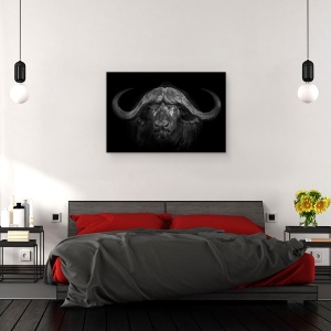 Tablou canvas - Coarne Mari, Africa, Buffalo, Motswari, 60 x 90 cm - Img 3