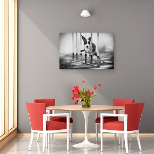 Tablou canvas - Concentrare, Agilitate, Caine, Actiune, Alb-Negru, Animal, 60 x 90 cm - Img 4